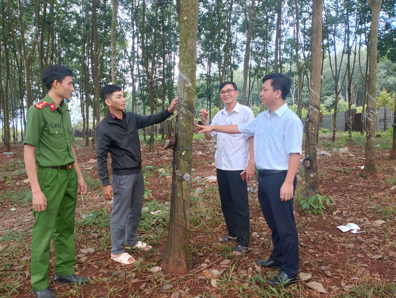 image 20251031112853 1