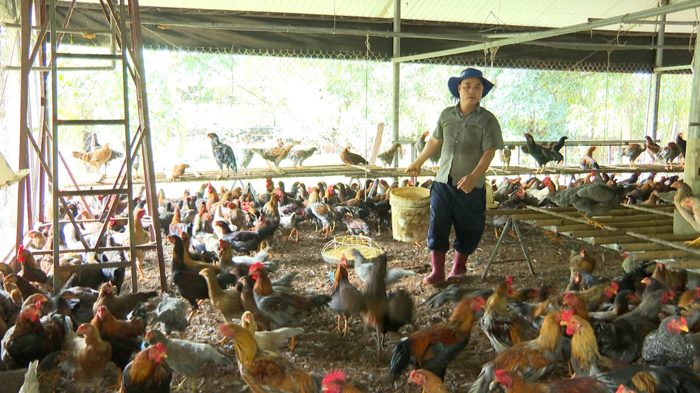 image 20251107095512 1