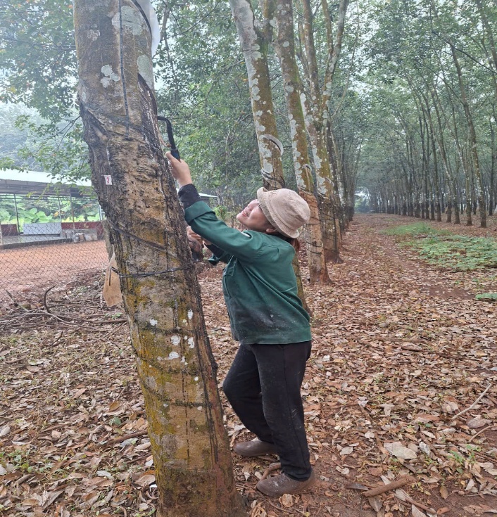 image 20251205075748 1