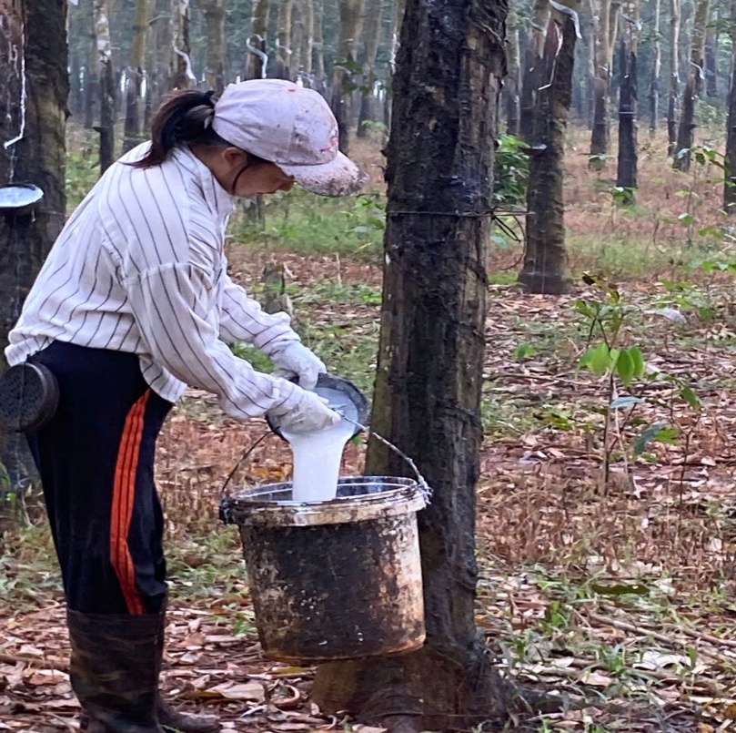 image 20251219143830 1