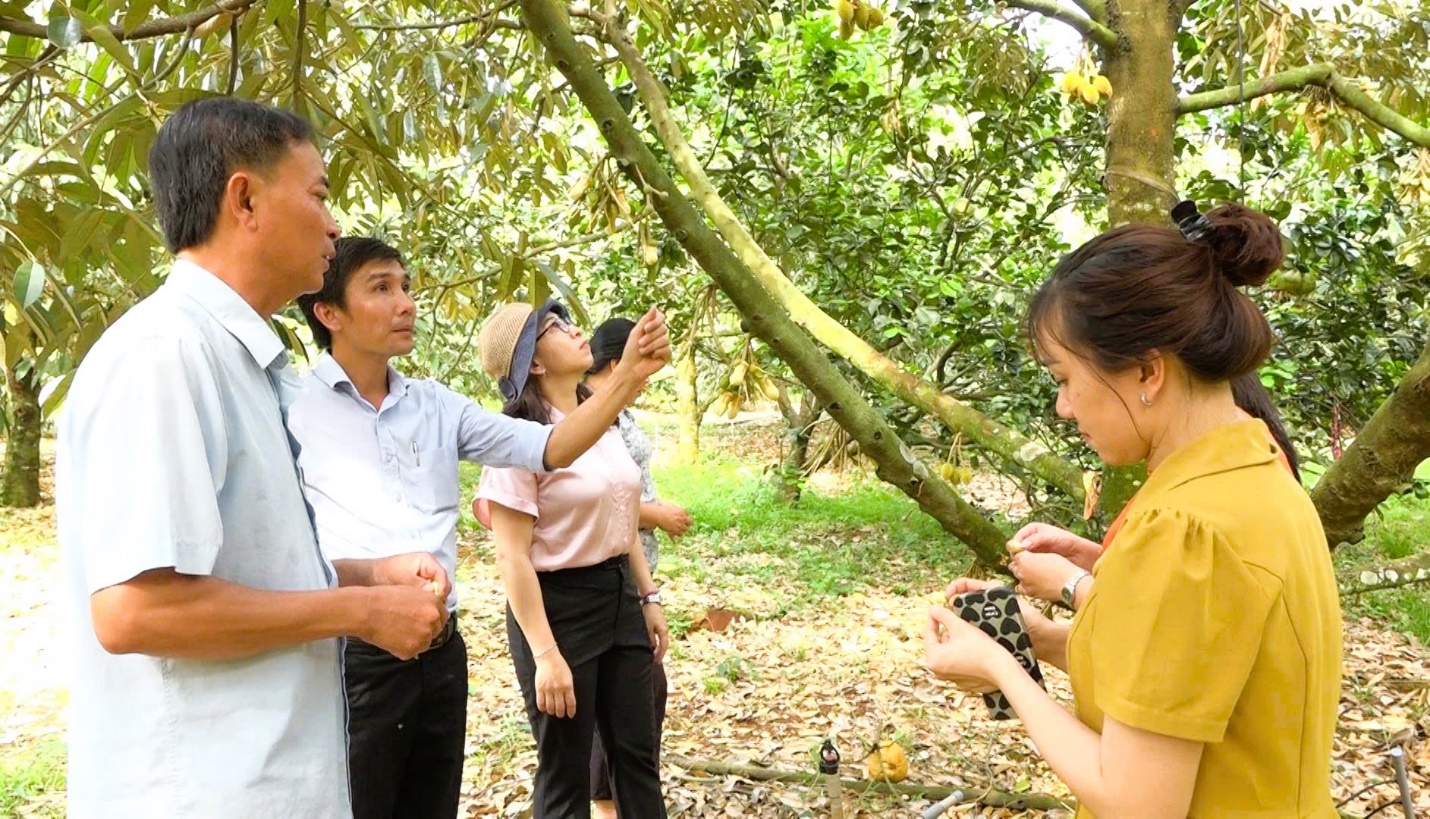 image 20260227075813 1