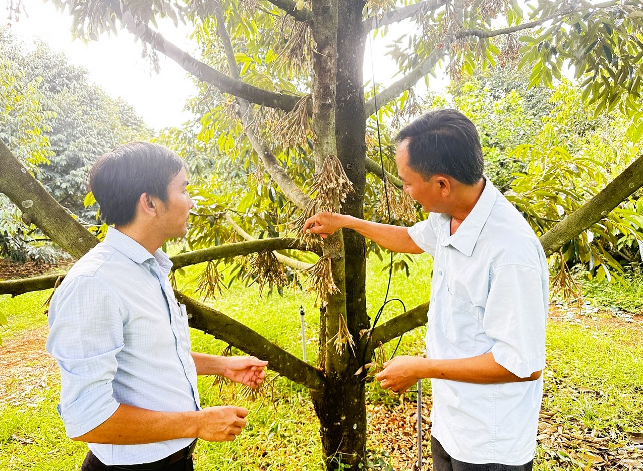 image 20260227075813 4