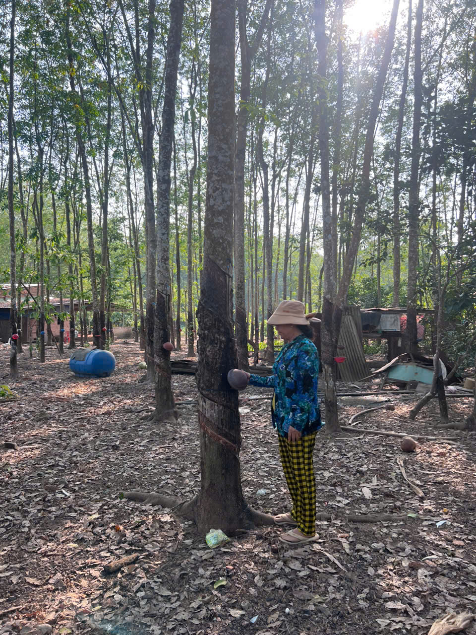 image 20260331140435 5